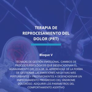Terapia de Reprocesamiento del Dolor (PRT): Bloque V