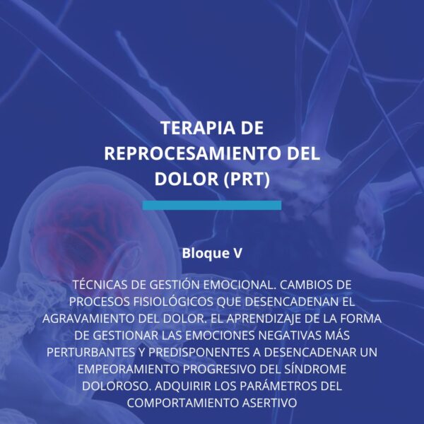 Terapia de Reprocesamiento del Dolor (PRT): Bloque V